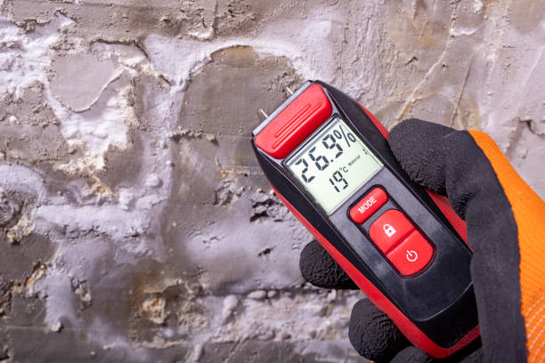 Best Mold Remediation Services  in Chino Valley, AZ